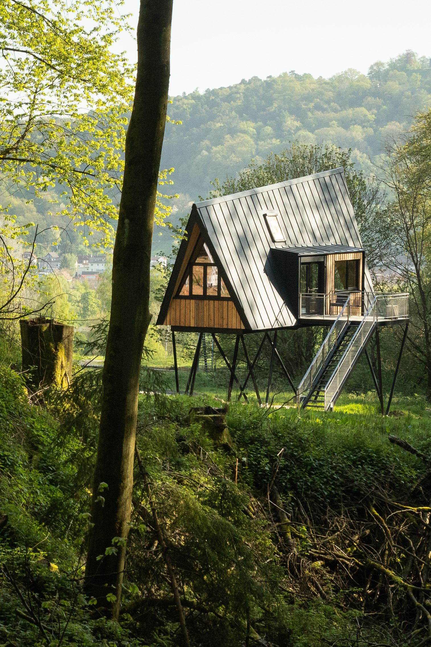 Baumhausapartment Waldblick - Das Baumhaushotel im Odenwald
